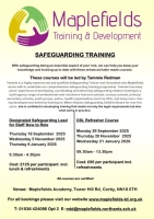Safeguarding for DSL New to Role    (4)